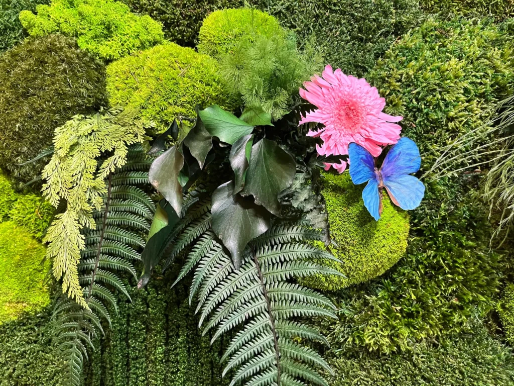 DECORACION NATURAL PRESERVADA