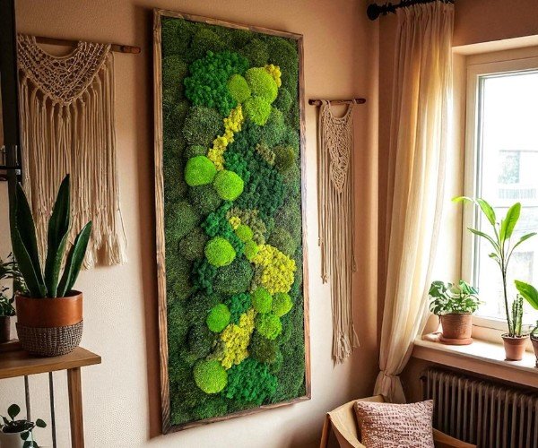 CUADRO DE MUSGO Y LIQUEN DE RENO CUADRO DE MUSGO Y MUSGO RENO ISLANDES CON DISEÑO BOHEMIO