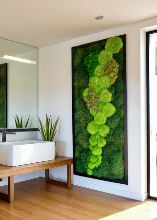 Cuadro de musgo bola en baño 