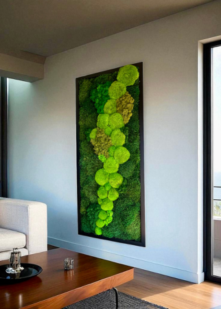 CUADRO DE MUSGO BOLA PRESERVADO EN SALON, FORMATO VERTICAL