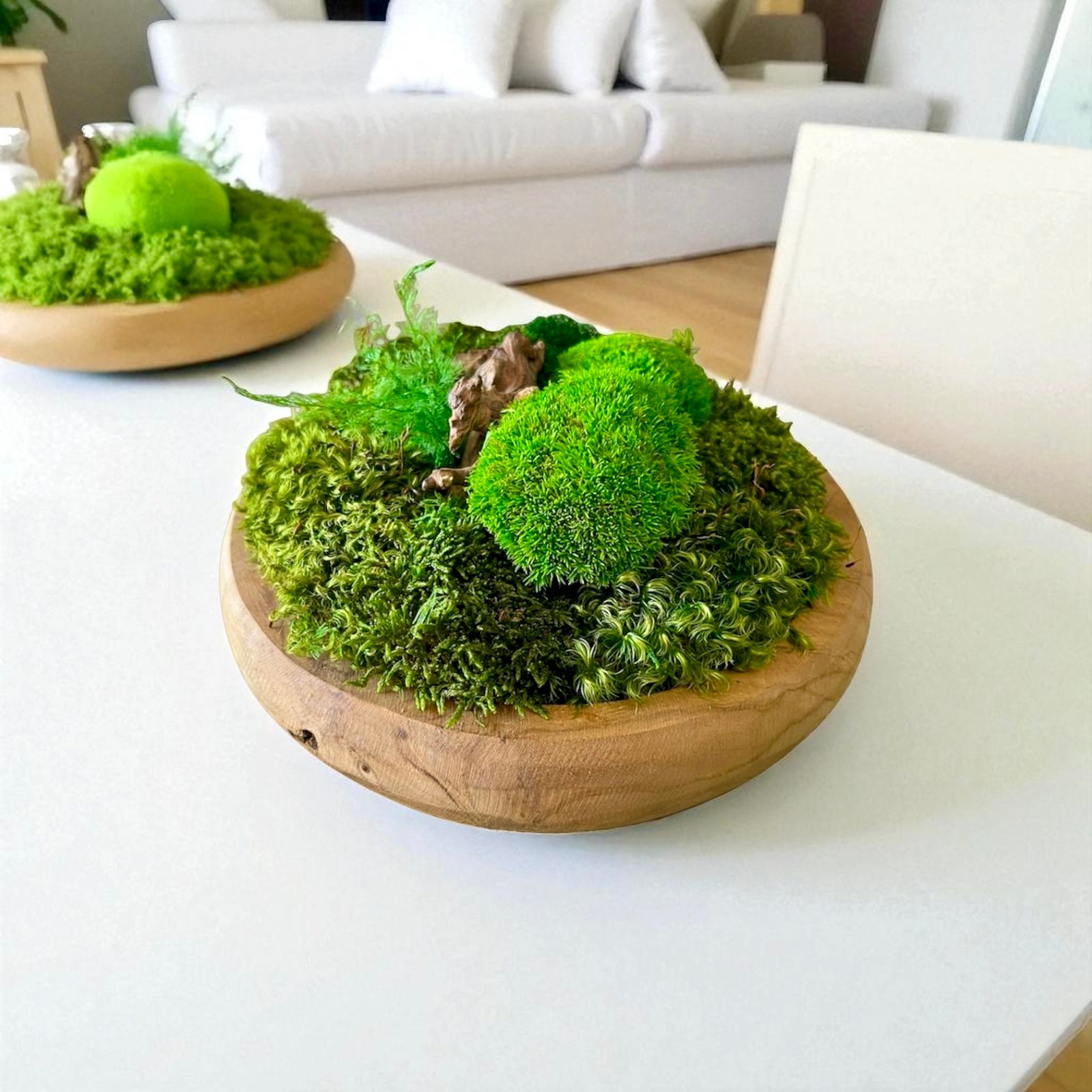 CENTRO DE MESA CON MUSGO PRESERVADO Y HELECHO DE AIRE