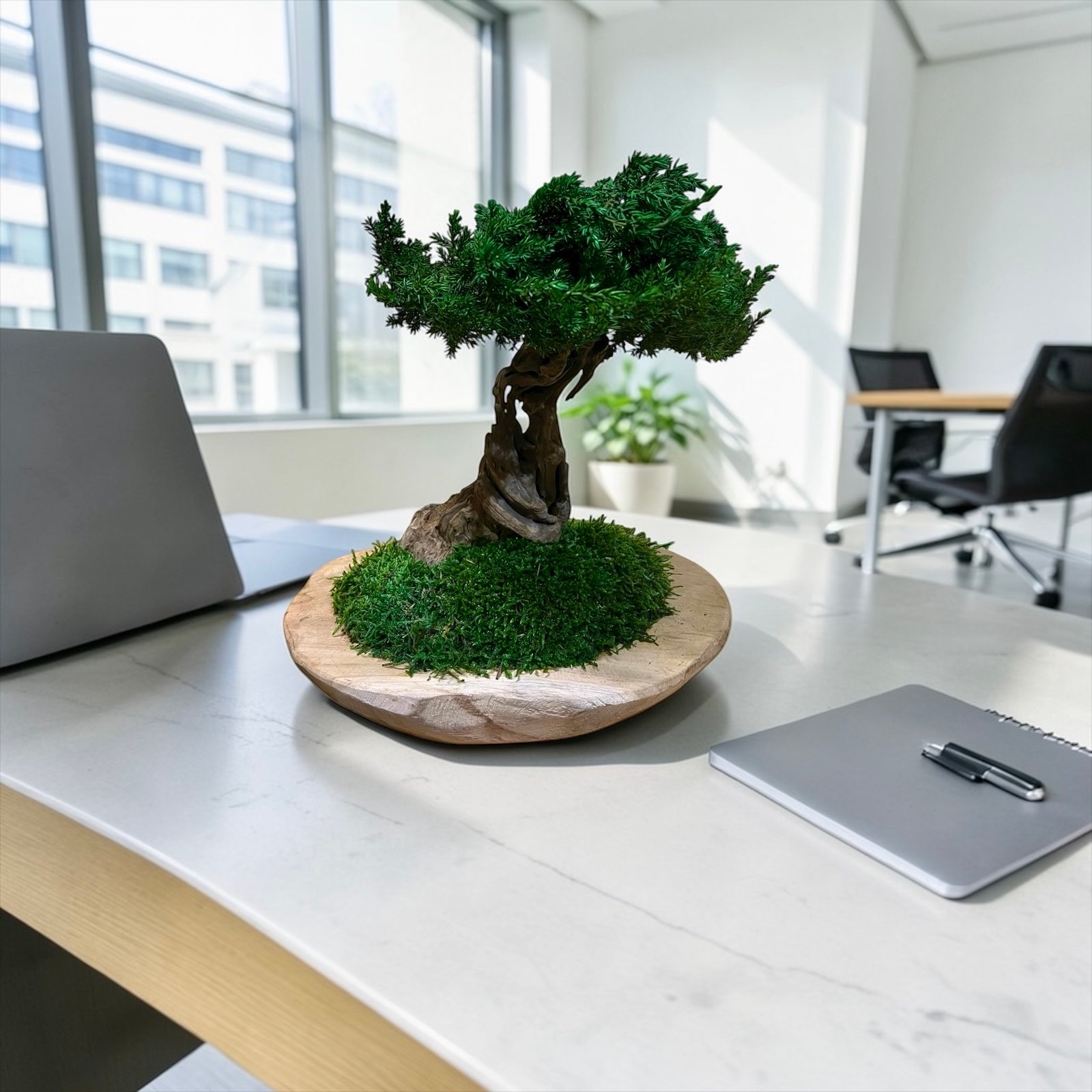 Luxury handmade preserved bonsai on driftwood root, realistic botanical art for minimalist, Scandinavian and Zen interiors.
