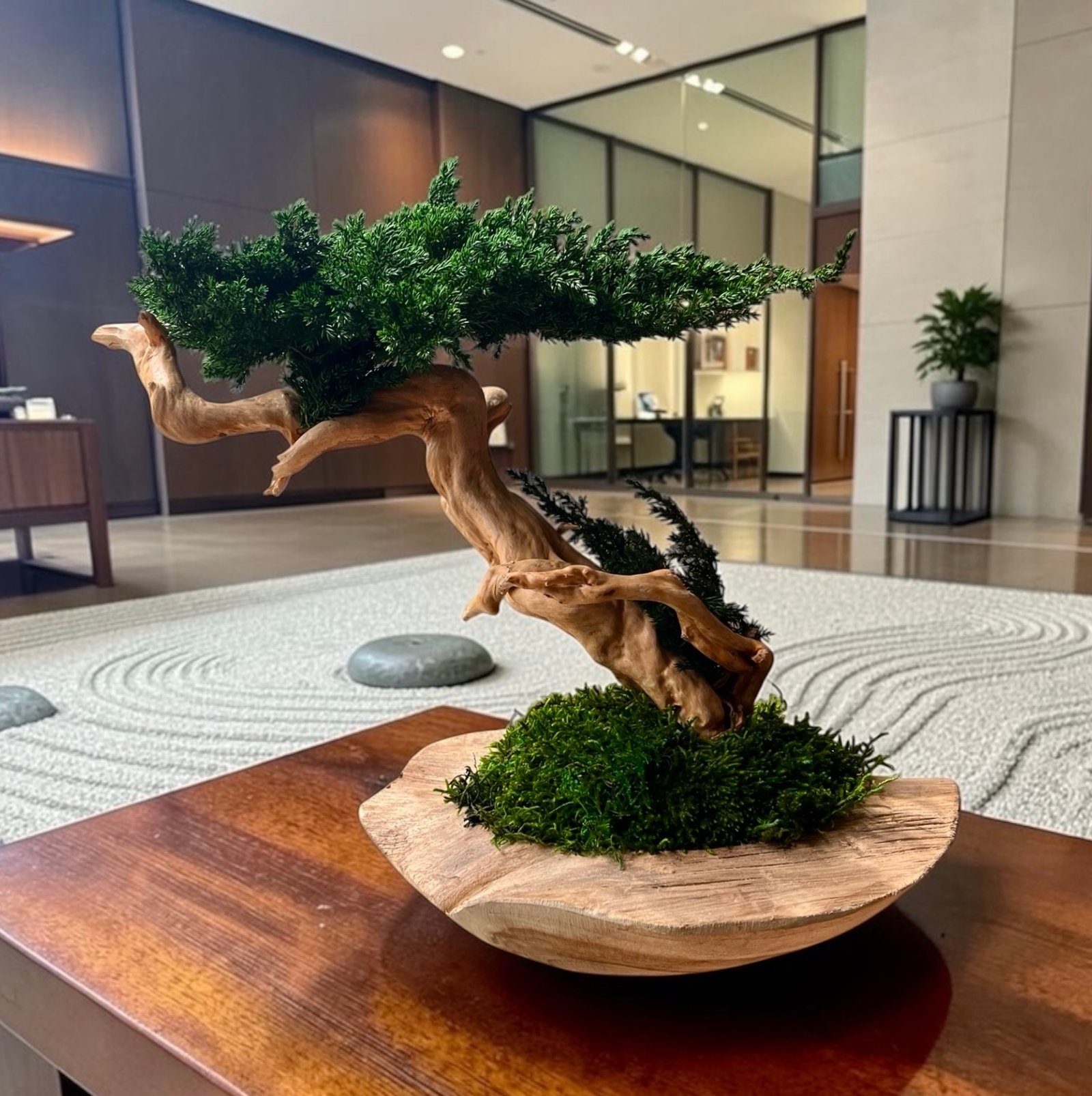 Exclusive handmade preserved bonsai sculpture featuring natural Juniperus on driftwood, long-lasting maintenance-free decor.