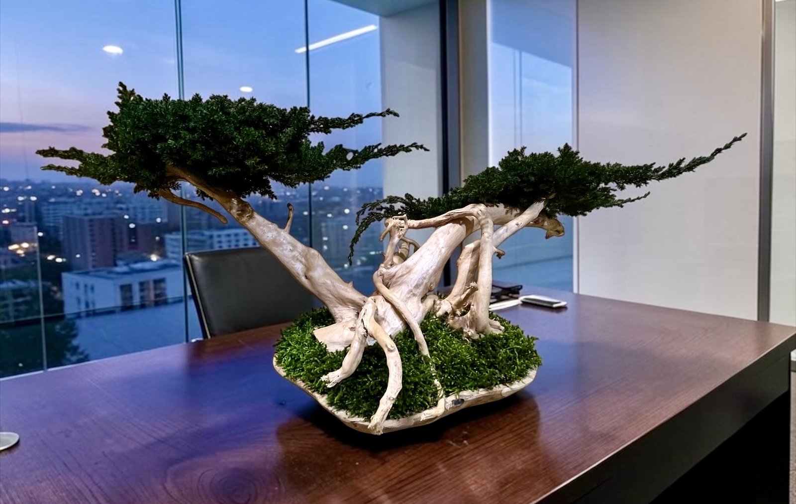 Bonsai preservado juniperus doble para decoración de lujo 