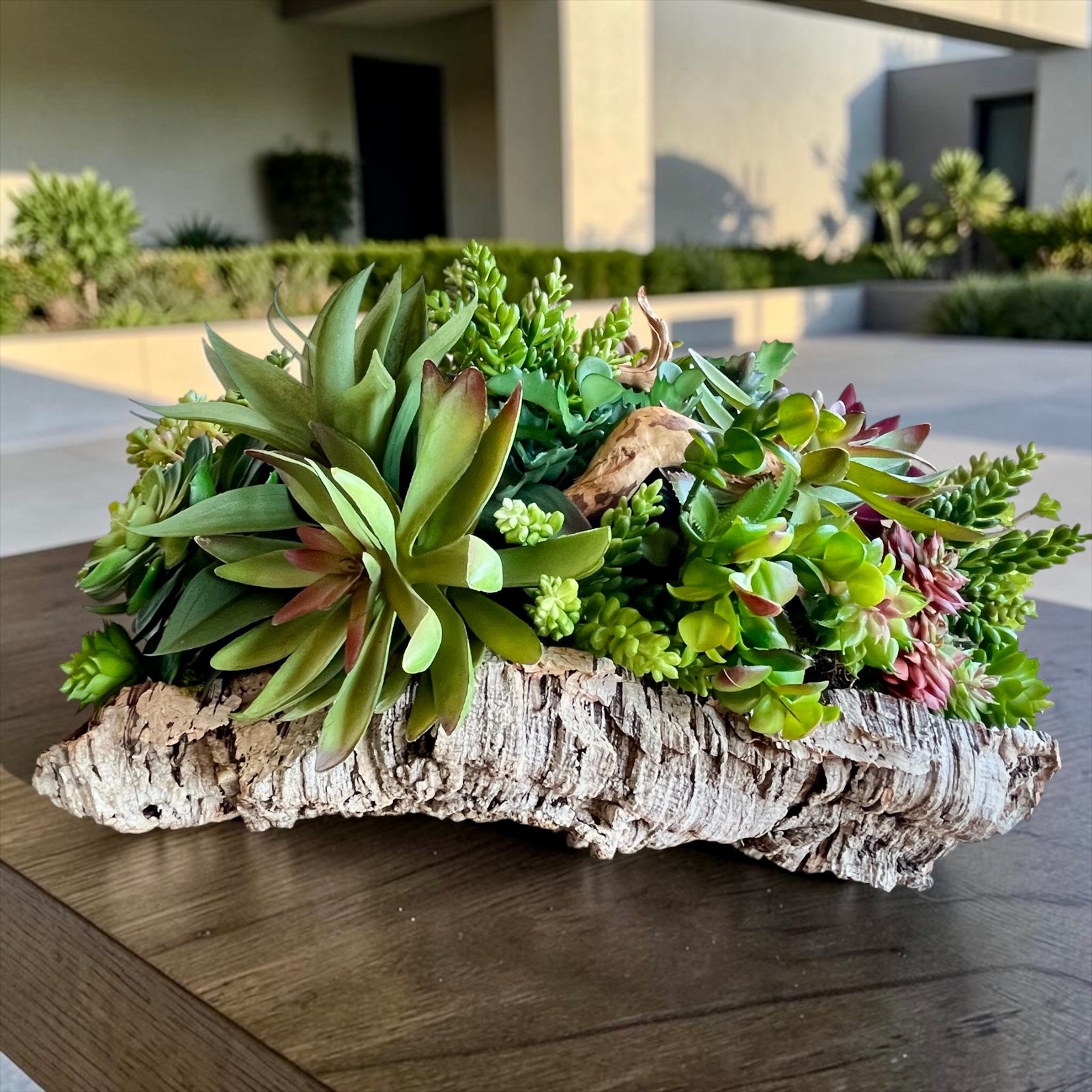 Centro de mesa con plantas crasas y  suculentas sobre cuenco de corcho mediterraneo